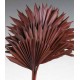 SUN PALM Chocolate 8" x 14"- 